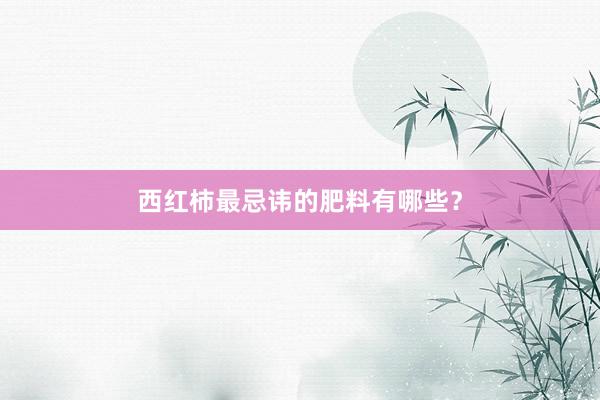 西红柿最忌讳的肥料有哪些？