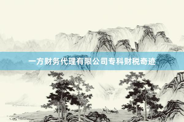 一方财务代理有限公司专科财税奇迹